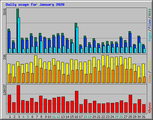 Daily usage for January 2020