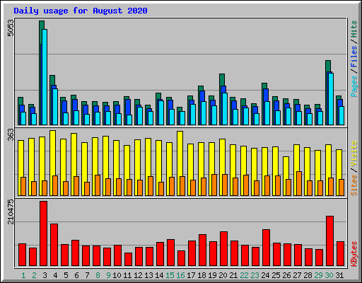 Daily usage for August 2020