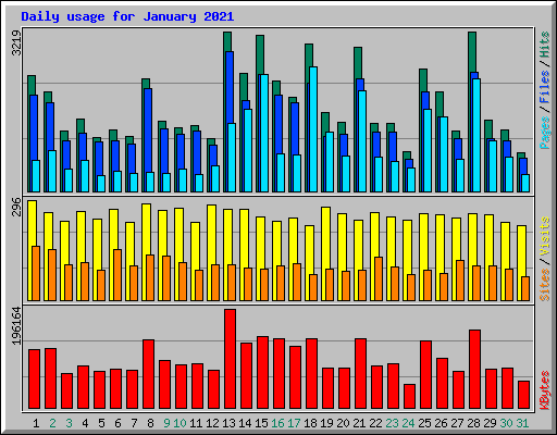 Daily usage for January 2021