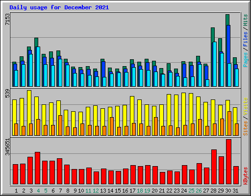 Daily usage for December 2021