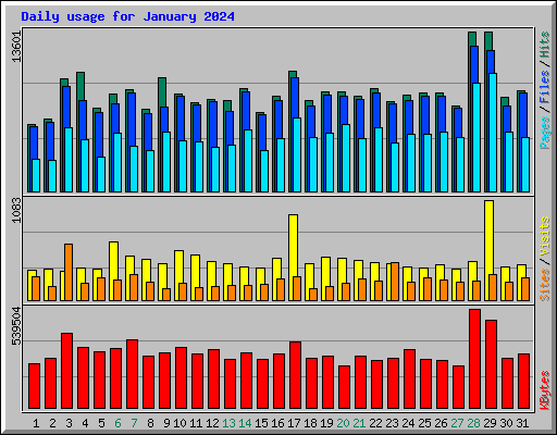 Daily usage for January 2024