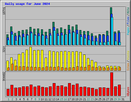 Daily usage for June 2024