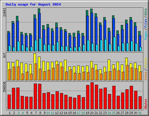 Daily usage for August 2024