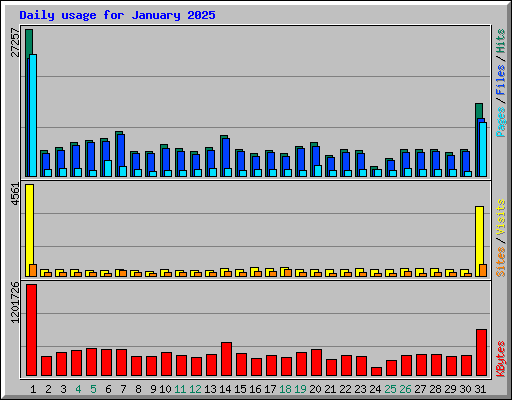 Daily usage for January 2025