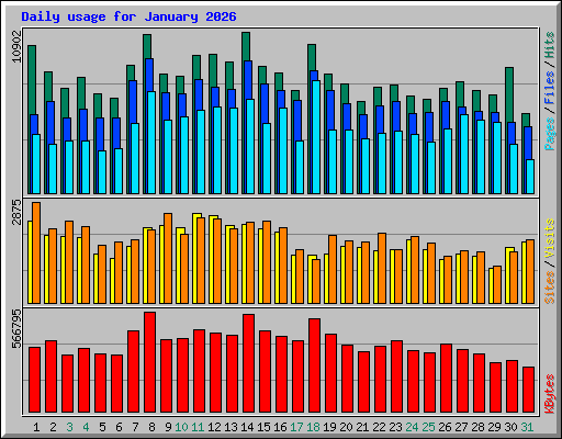 Daily usage for January 2026