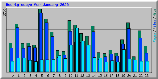Hourly usage for January 2020