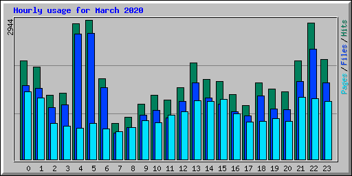 Hourly usage for March 2020