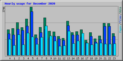 Hourly usage for December 2020