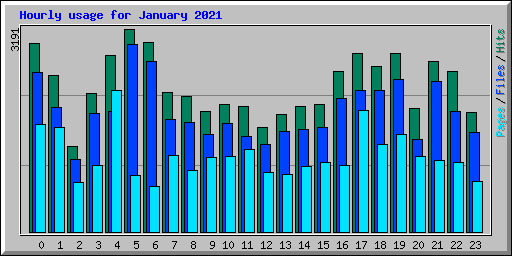 Hourly usage for January 2021