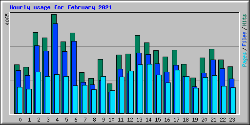 Hourly usage for February 2021