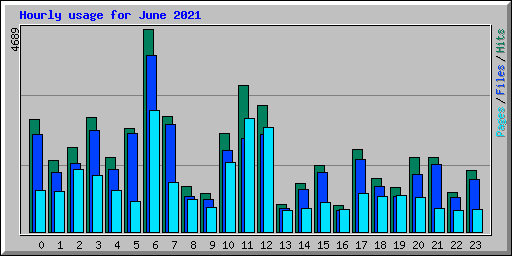 Hourly usage for June 2021