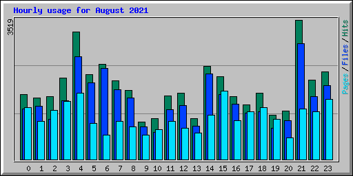 Hourly usage for August 2021