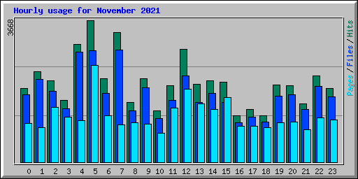 Hourly usage for November 2021