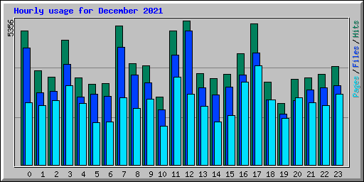 Hourly usage for December 2021