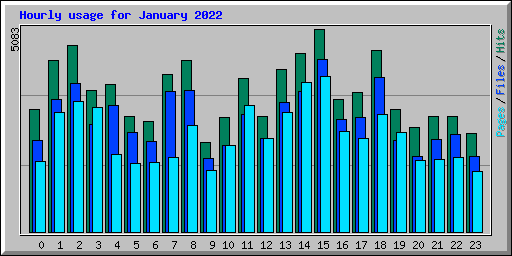 Hourly usage for January 2022