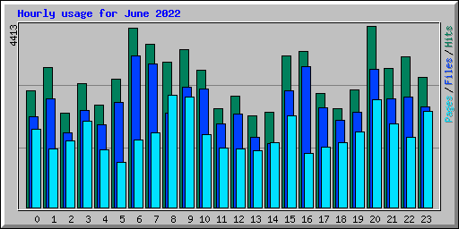 Hourly usage for June 2022