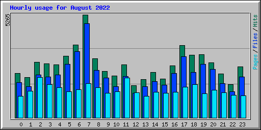 Hourly usage for August 2022