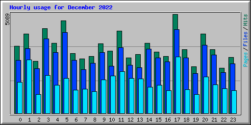 Hourly usage for December 2022