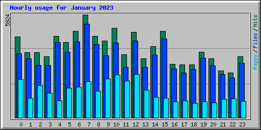 Hourly usage for January 2023