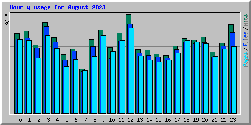 Hourly usage for August 2023
