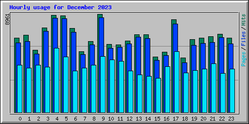 Hourly usage for December 2023