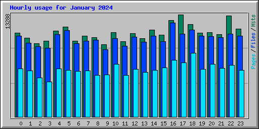 Hourly usage for January 2024