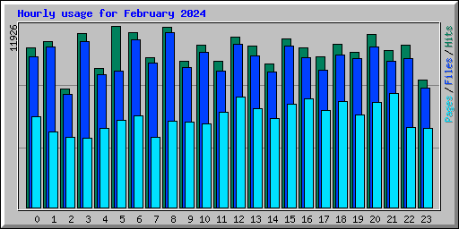 Hourly usage for February 2024