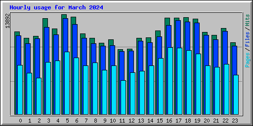 Hourly usage for March 2024