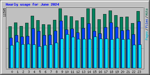 Hourly usage for June 2024