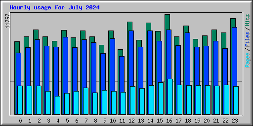 Hourly usage for July 2024