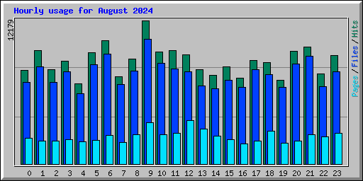 Hourly usage for August 2024