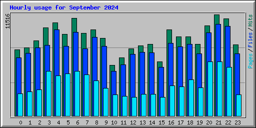 Hourly usage for September 2024