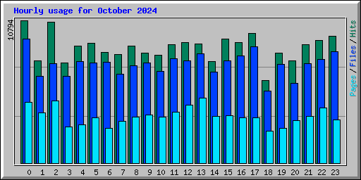 Hourly usage for October 2024