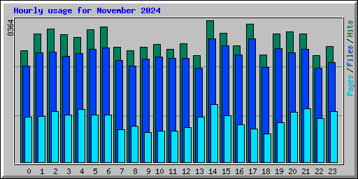 Hourly usage for November 2024