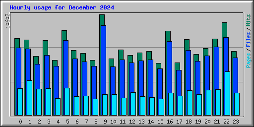 Hourly usage for December 2024