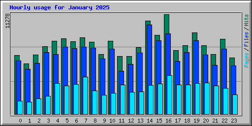 Hourly usage for January 2025