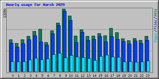 Hourly usage for March 2025