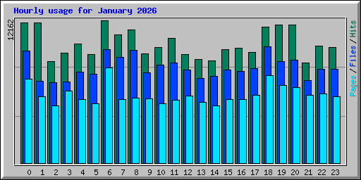 Hourly usage for January 2026